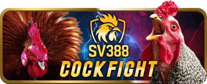 Cá cược quần vợt shbet50 code