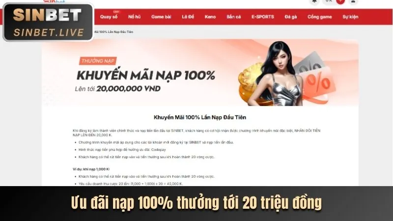 Minh họa câu hỏi thường gặp SHBET50 Code